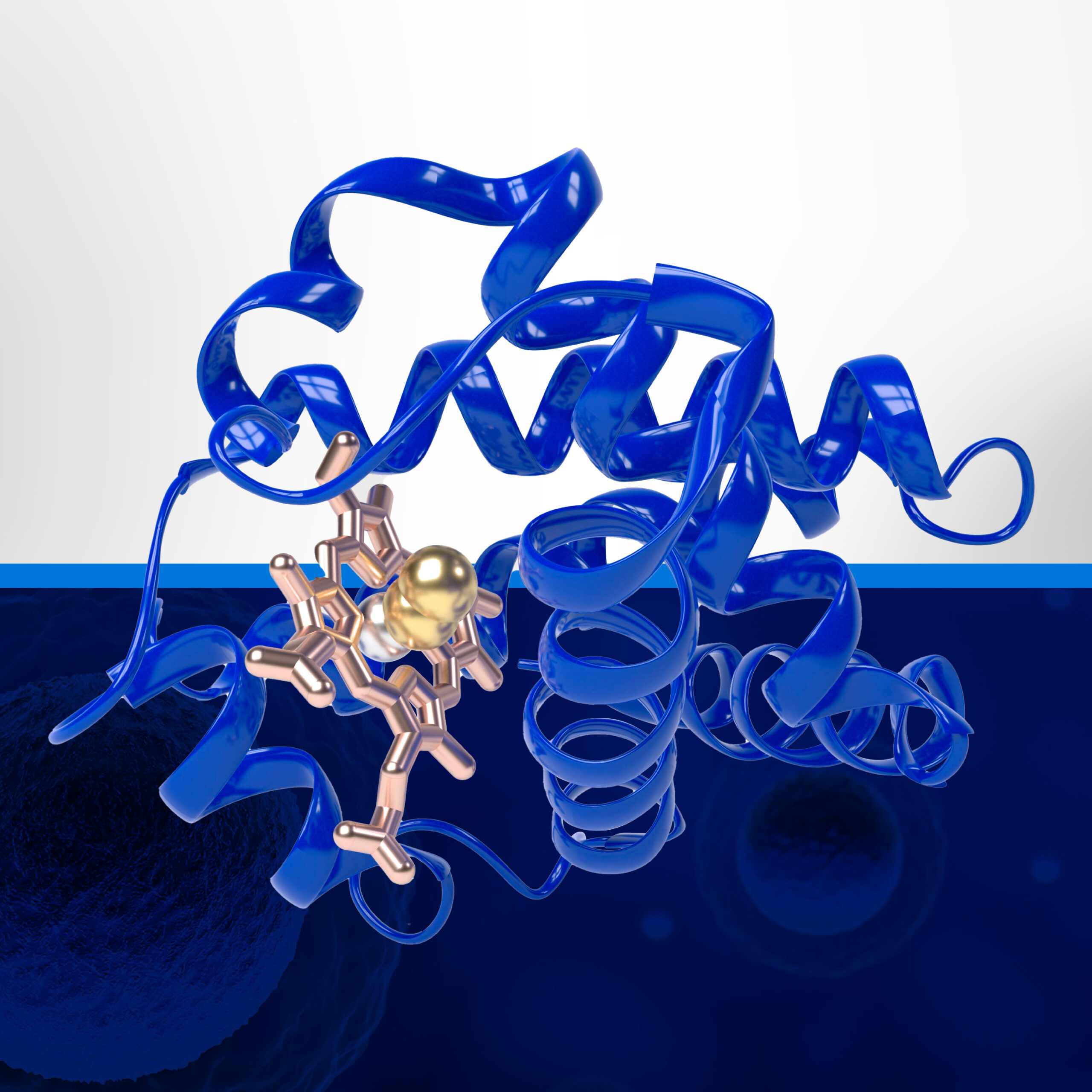 SomaScan<sup>TM</sup> Assay | ハイスループット、広範囲、高感度な測定が可能なプロテオミクス技術！